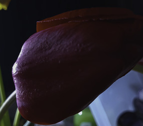 Similar image 22772401