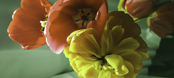 Similar image 22772403
