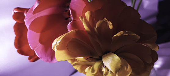Similar image 22772404