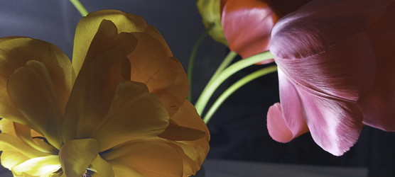 Similar image 22772405