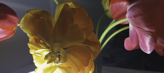 Similar image 22772408