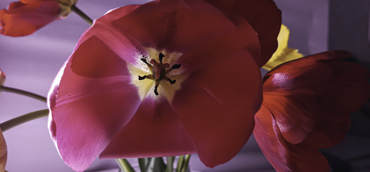 Similar image 22772410
