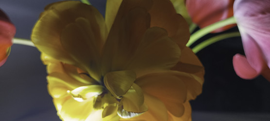 Similar image 22772413