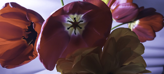 Similar image 22772414