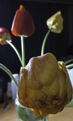 Similar image 22772416