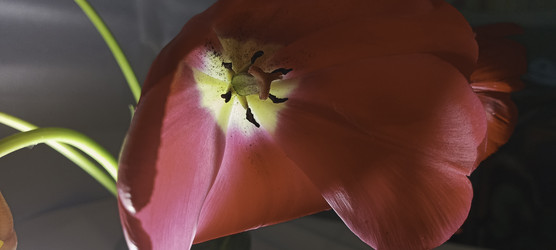 Similar image 22772418