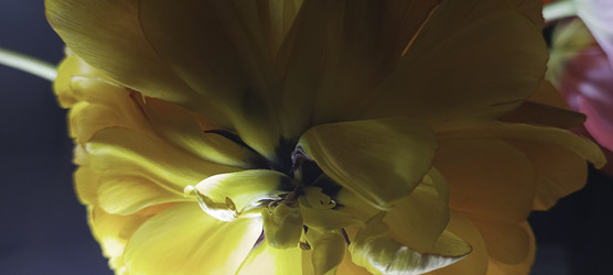 Similar image 22772420