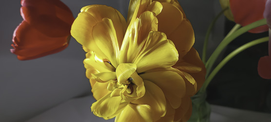Similar image 22772423