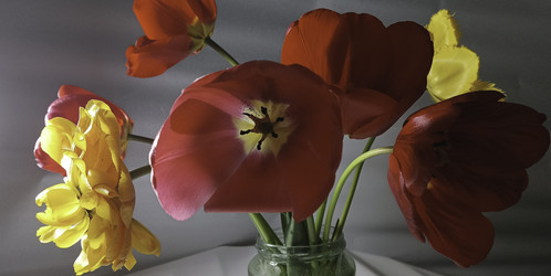 Similar image 22772424