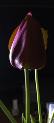 Similar image 22772426