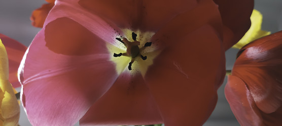 Similar image 22772429
