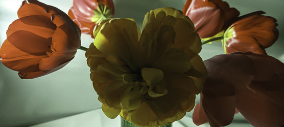 Similar image 22772433