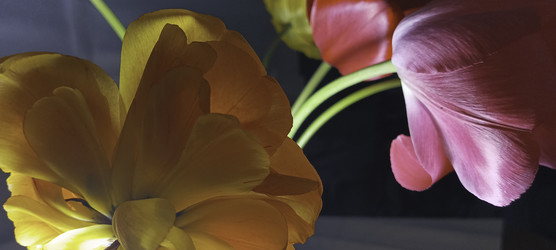 Similar image 22772436
