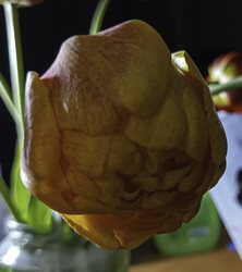 Similar image 22772437