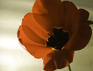 Similar image 22772438