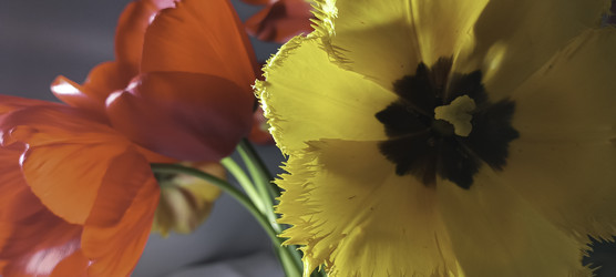 Similar image 22772444