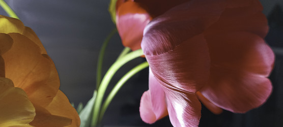 Similar image 22772446