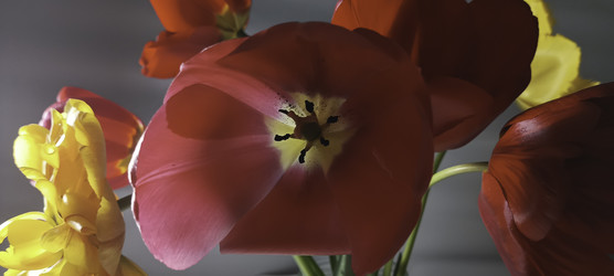 Similar image 22772450