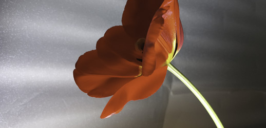 Similar image 22772451