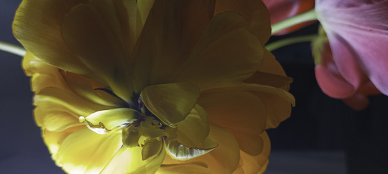 Similar image 22772452