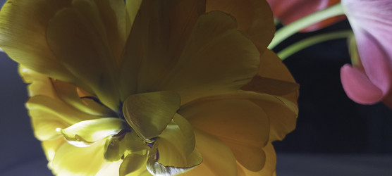 Similar image 22772454