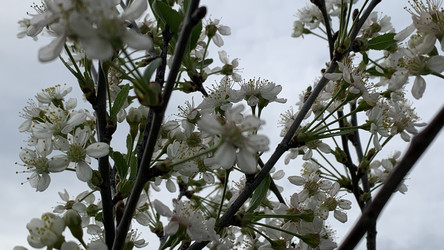 Similar image 22773254