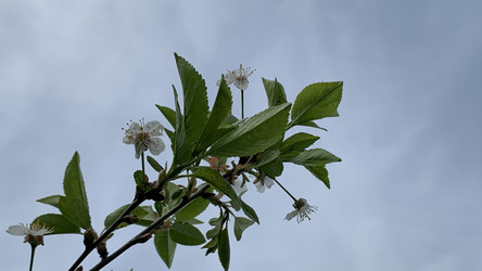 Similar image 22773255