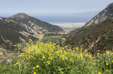 Similar image 22782344