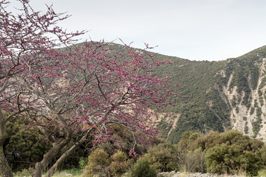 Similar image 22782345