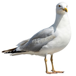 Similar image 22780551