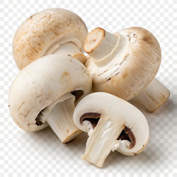 Similar image 22776099