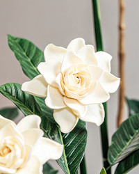Similar image 22774601