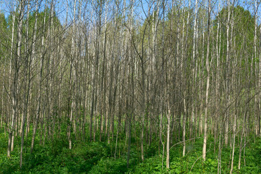 Similar image 22774858
