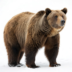 Similar image 22778980