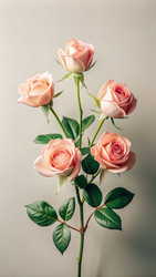 Similar image 22775174