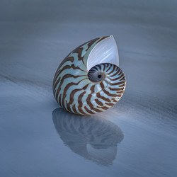 Similar image 22777319