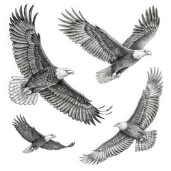 Similar image 22773490