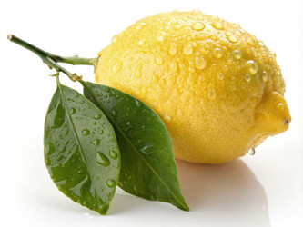 Similar image 22773580