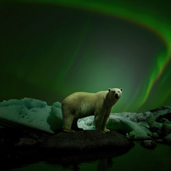 Similar image 22779163