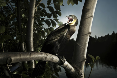 Similar image 22773607