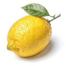Similar image 22780165