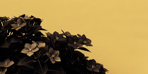 Similar image 22779514