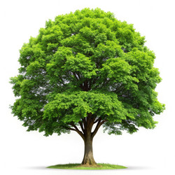 Similar image 22779834