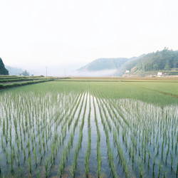 Similar image 22774404