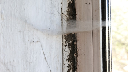 Similar image 22785860