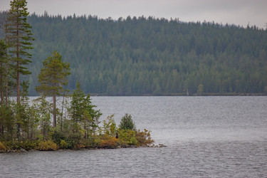 Similar image 22782384