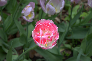 Similar image 22774866
