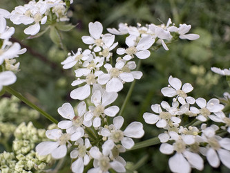 Similar image 22771773