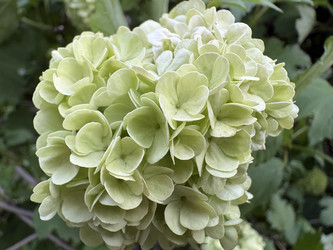 Similar image 22771787