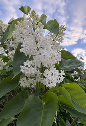 Similar image 22771792